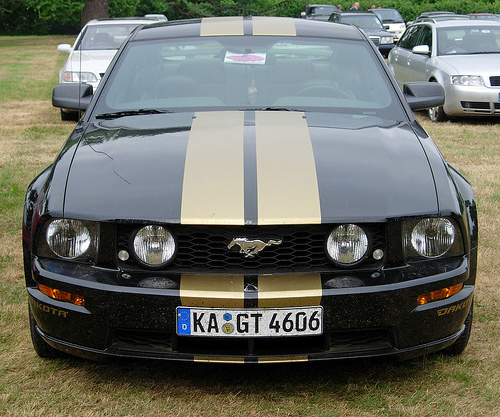 ford mustang 4.6-pic. 1