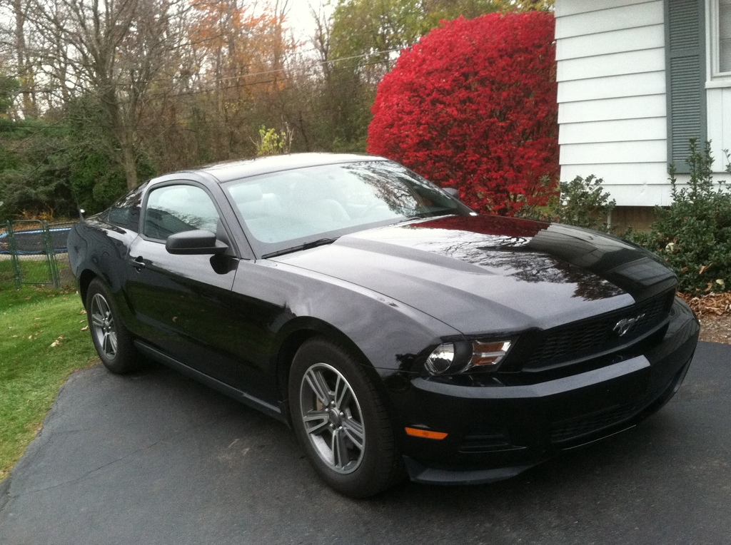 ford mustang premium coupe #4