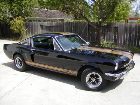 ford mustang shelby gt350-pic. 2