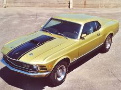 ford mustang mach 1 351