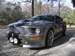 ford mustang ronaele
