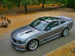 ford mustang saleen s 281