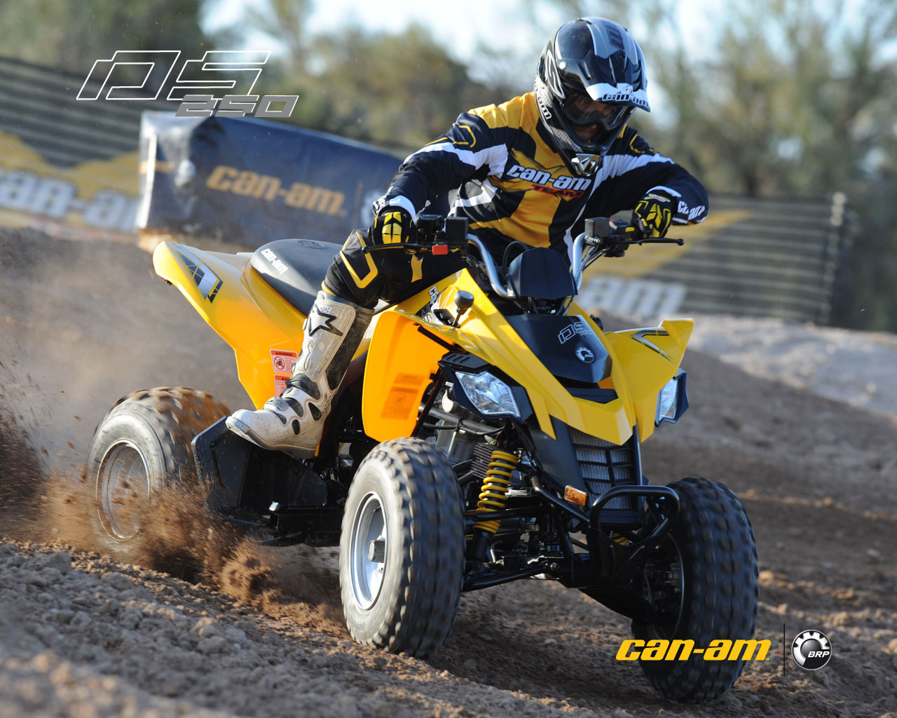can-am ds 250-pic. 1