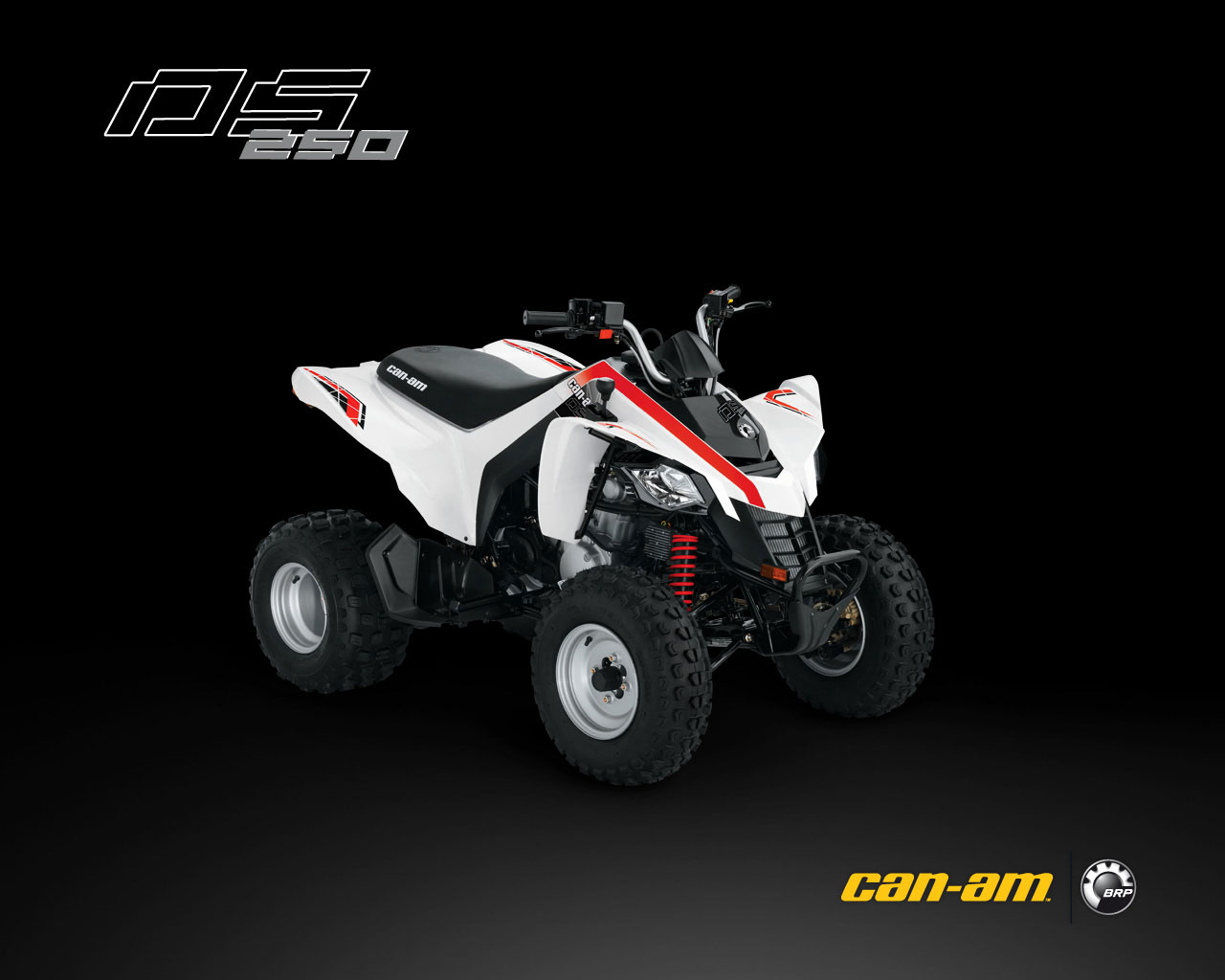 can-am ds 250-pic. 3