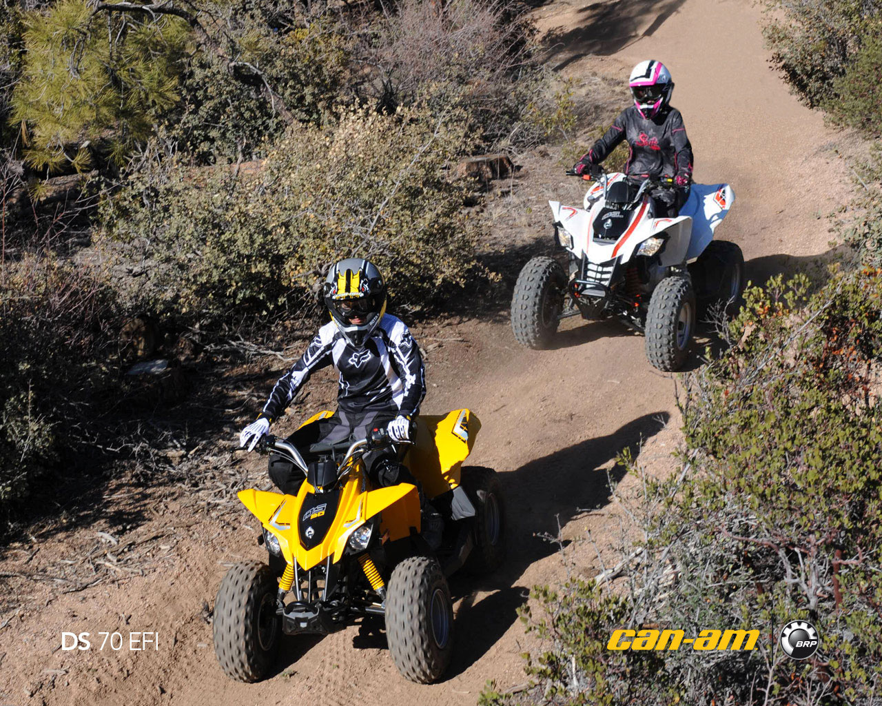 can-am ds 70-pic. 3