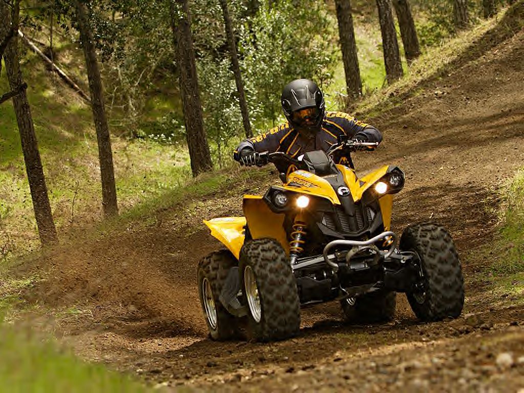 can-am renegade-pic. 1