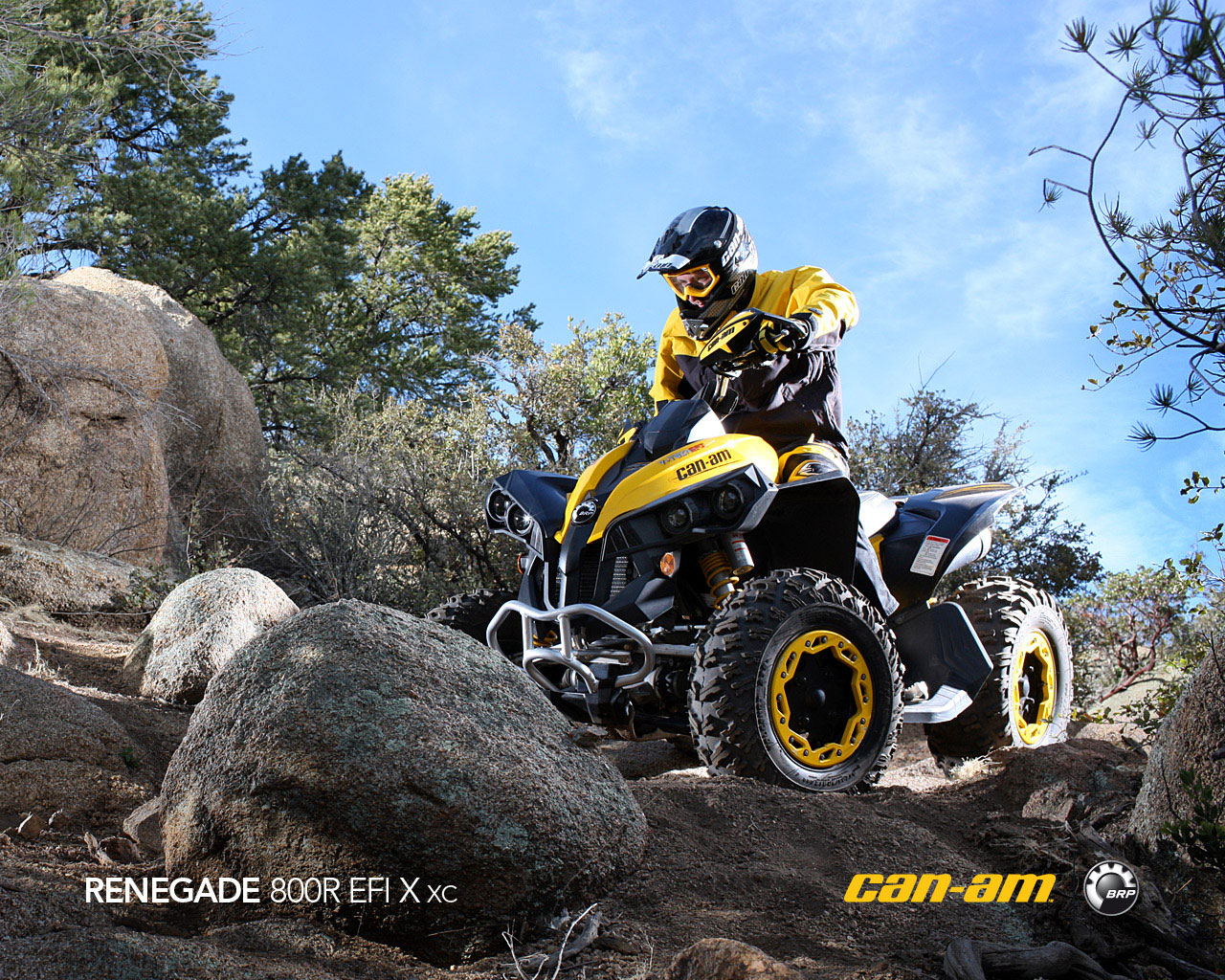 can-am renegade 800r x xc-pic. 3
