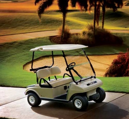club car ds player-pic. 1