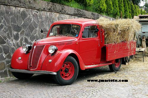 fiat 1100 camioncino-pic. 2
