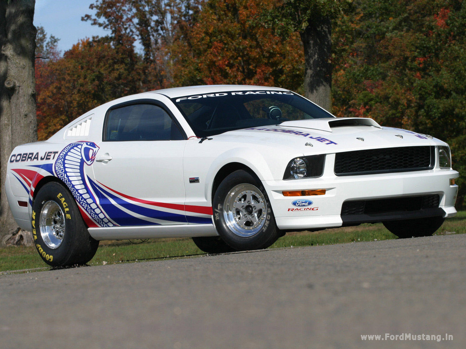 ford mustang cobra jet-pic. 3