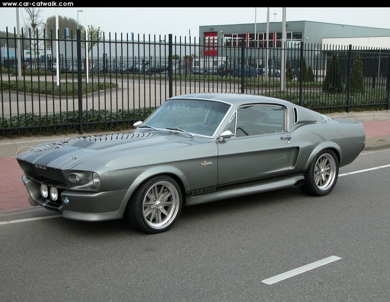 ford shelby gt-pic. 3