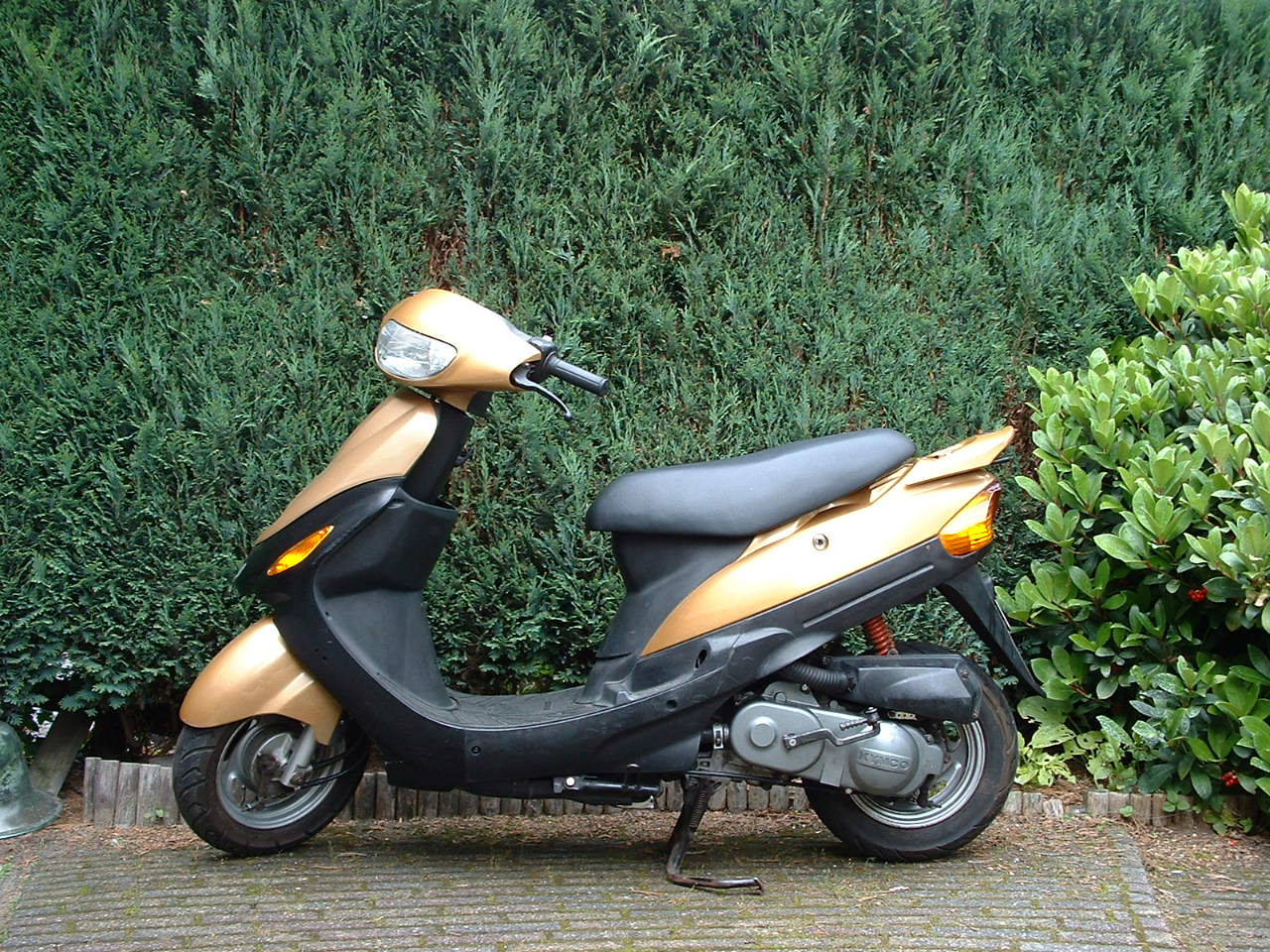 kymco filly 50 lx-pic. 2
