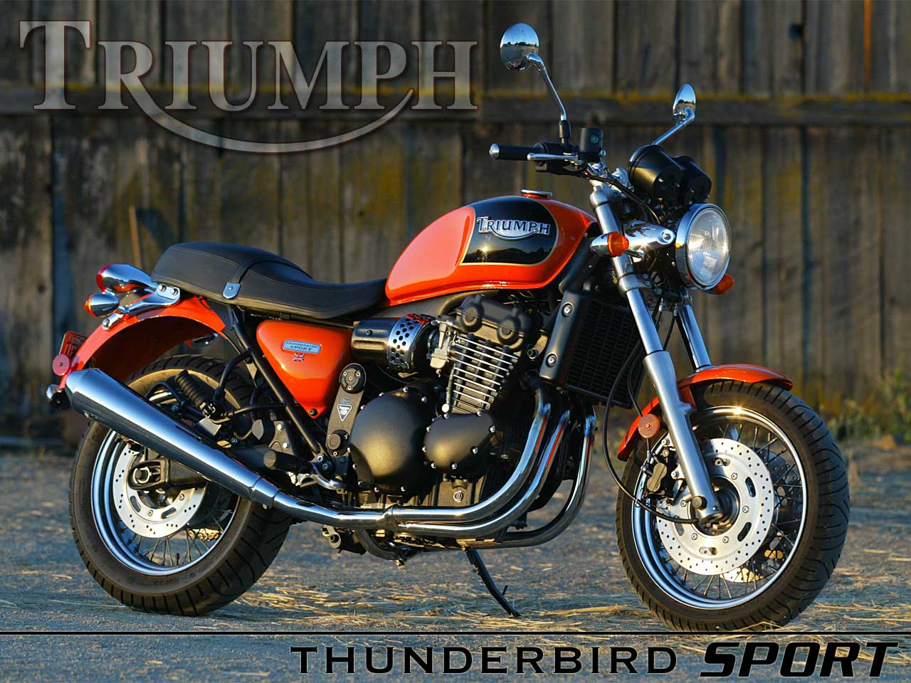 triumph thunderbird sport-pic. 1
