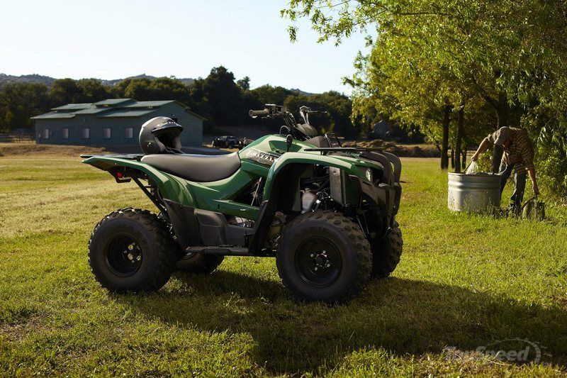 yamaha grizzly 300 automatic-pic. 2