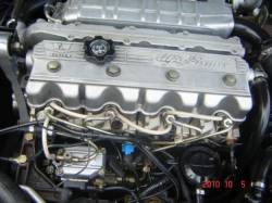 alfa romeo 164 turbo diesel