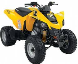 can-am ds 250