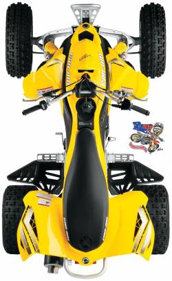 can-am ds 450
