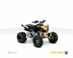 can-am ds 90 x