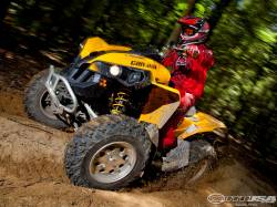 can-am renegade 800r