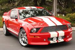 ford mustang ronaele