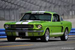 ford mustang shelby gt350