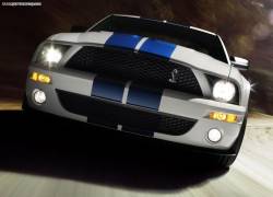 ford shelby gt