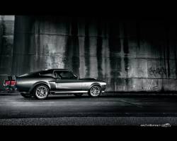 ford shelby gt 500