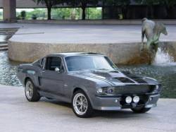 ford shelby gt 500