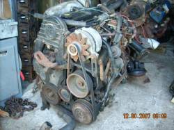 ford tempo diesel