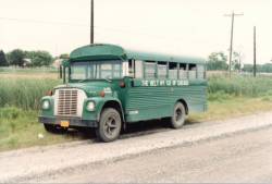 international harvester school bus