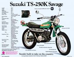 suzuki ts 250
