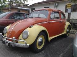 volkswagen beetle 1.6